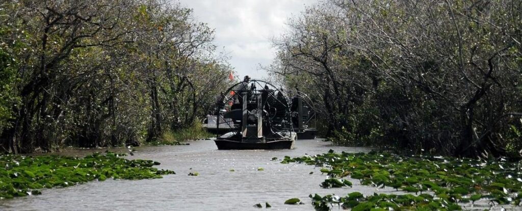 An airboat tour in the Florida Everglades, part of our Florida road trip