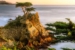 pebble-beach-2243449_1920 (1)